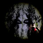 Foto Rakvere Teatri lavastusest "Sügissonaat", fotograaf Kalev Lilleorg