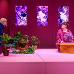 Foto Rakvere Teatri lavastusest "Vöötrada", fotograaf Kalev Lilleorg 